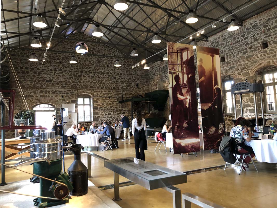 η-αφρόκρεμα-των-ελαιολάδων-στη-σητεία-561789700