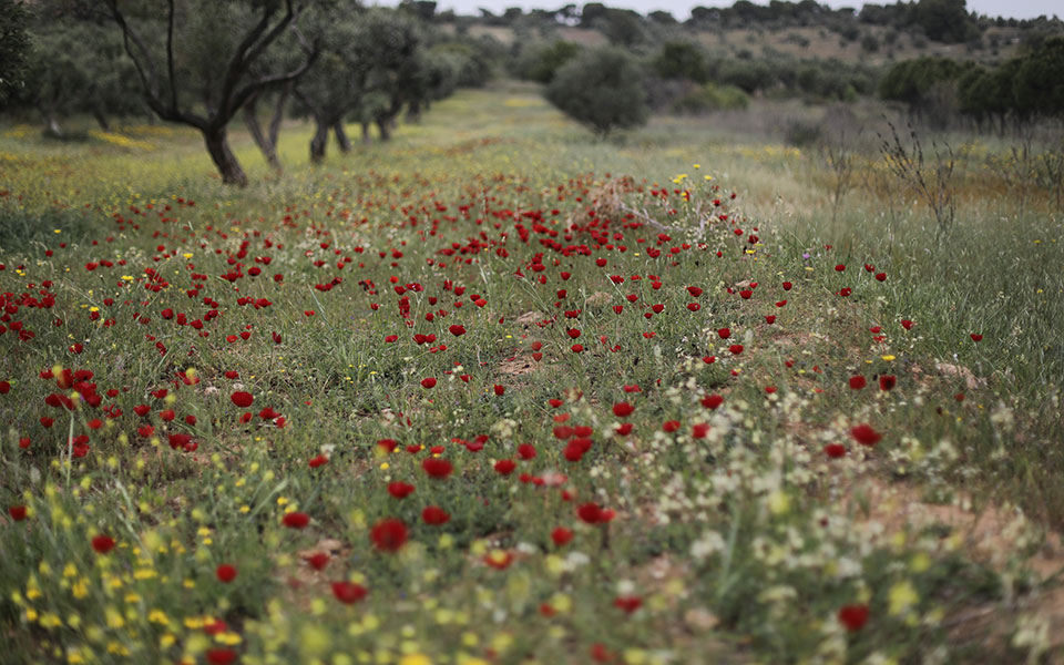 καιρός-τριήμερο-πρωτομαγιάς-άστατο-561835447