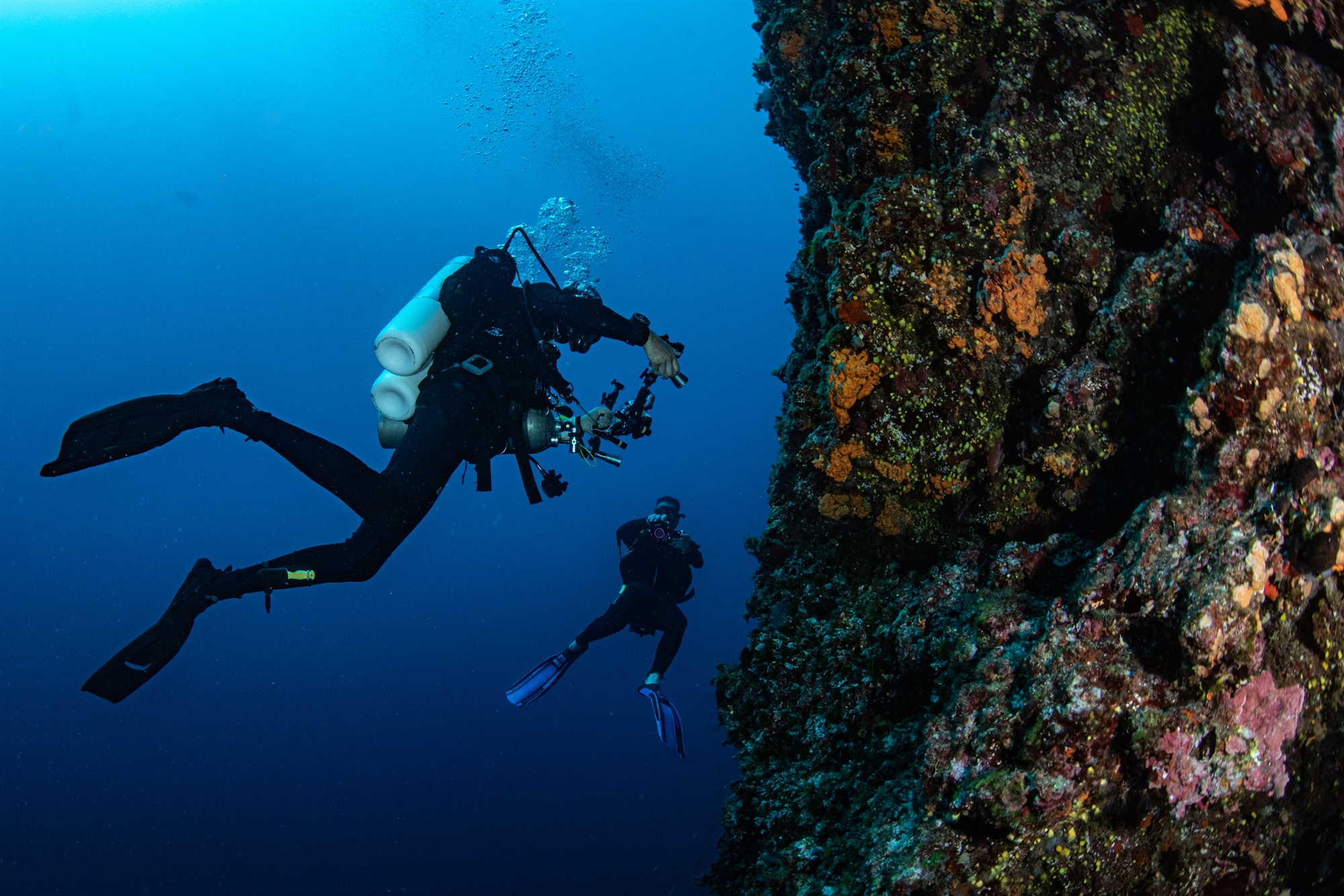 Οι κήποι κοραλλιών της Ελλάδας-4