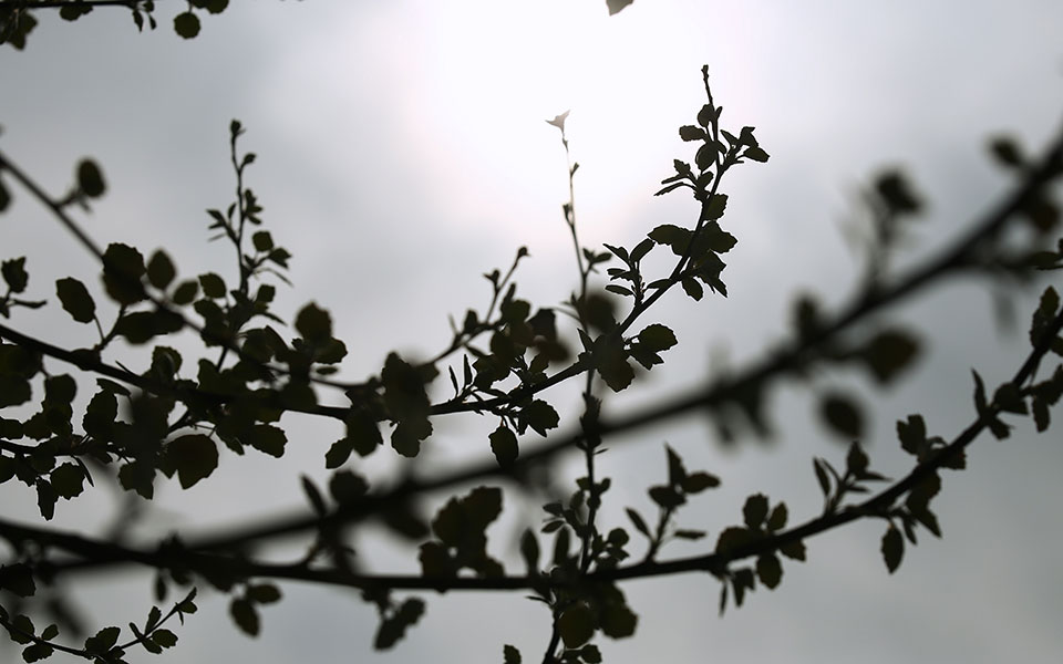καιρός-αύριο-βροχές-στα-βόρεια-σκόνη-σ-561793054