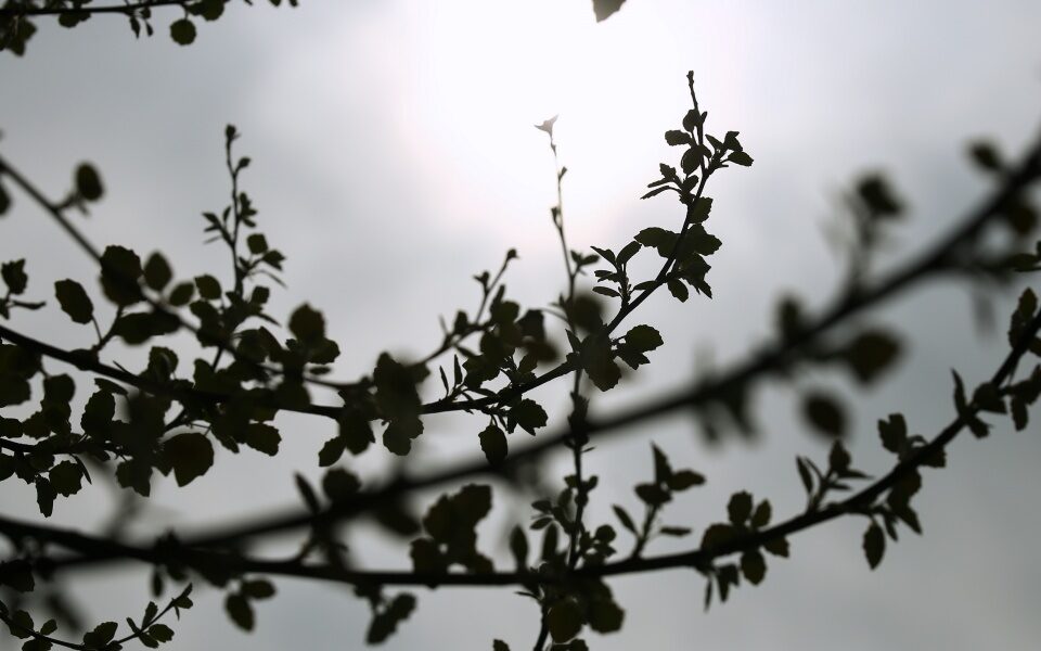 καιρός-τοπικές-βροχές-και-καταιγίδες-561791308