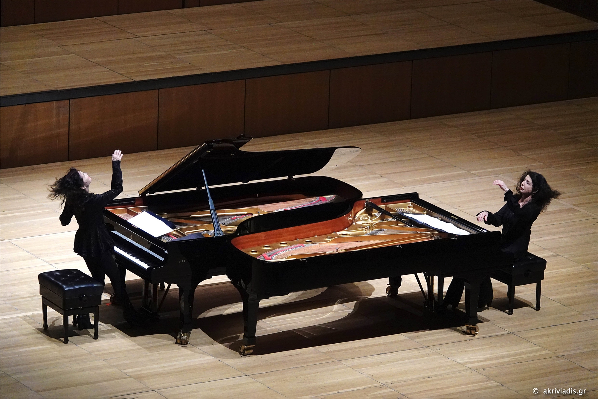 δυναμισμός-και-ευαισθησία-από-τις-κάτ-561825226