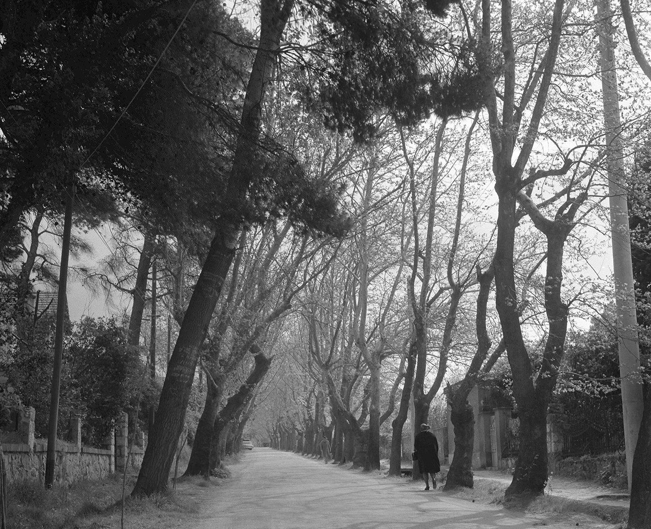 Δύο κόσμοι μαζί, αλλά και μακριά ο ένας από τον άλλον-1