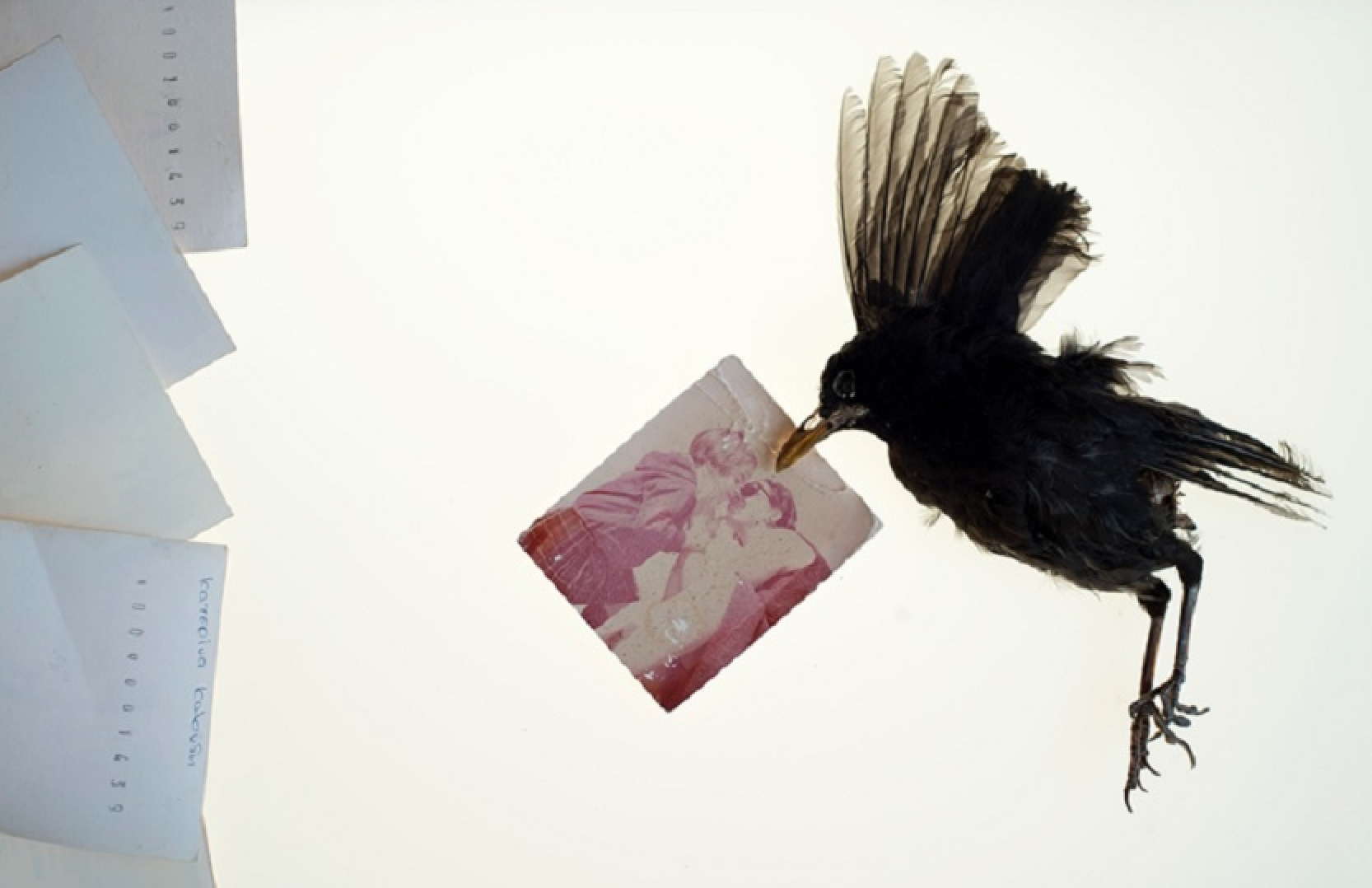 Κατερίνα Καλούδη, το εσωτερικό ταξίδι του πένθους με αποσκευή τη μνήμη-2