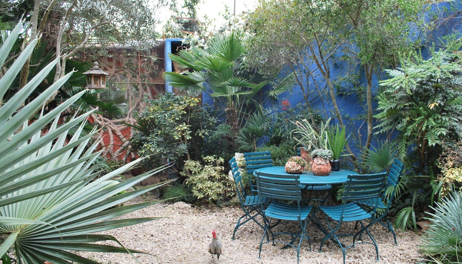 Η παλαιότερη ανθοκομική έκθεση άνοιξε πάλι τις πόρτες της στο Αλσος Κηφισιάς-2