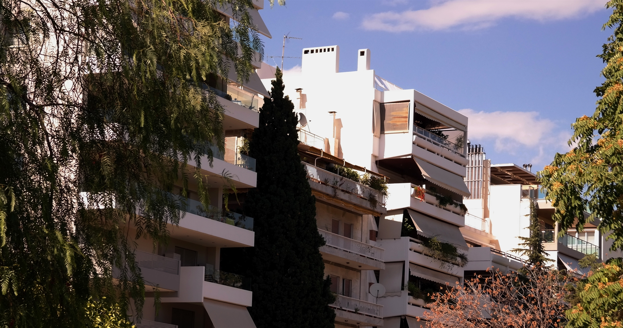 πρώτο-βήμα-για-τον-φορέα-επαναμίσθωση-561833668