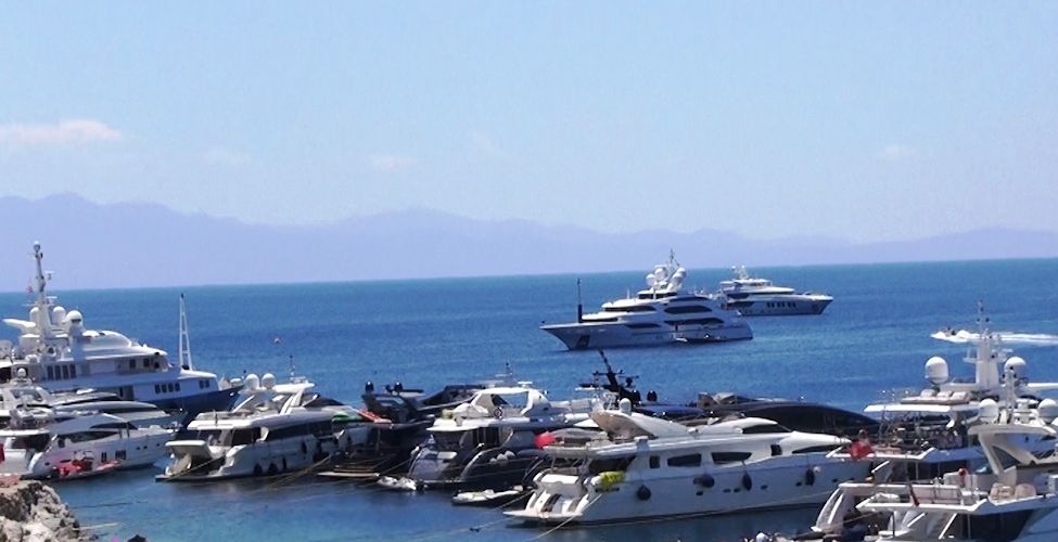 ξέφραγο-αμπέλι-οι-ελληνικές-θάλασσ-561815431