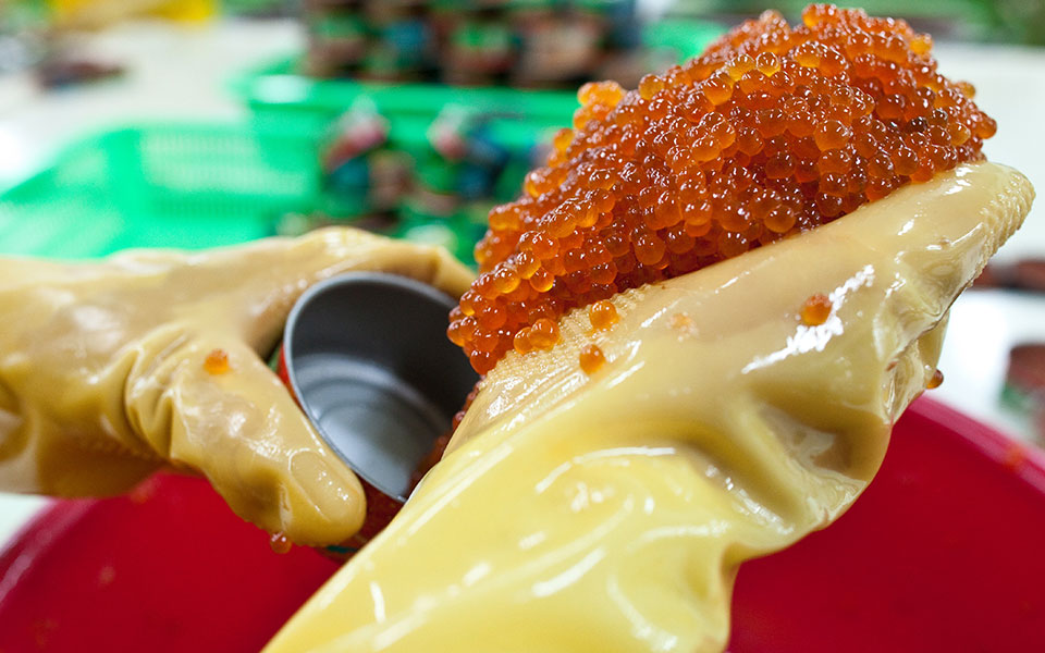 ουκρανία-ρωσικό-χαβιάρι-και-διαμάντι-561823351