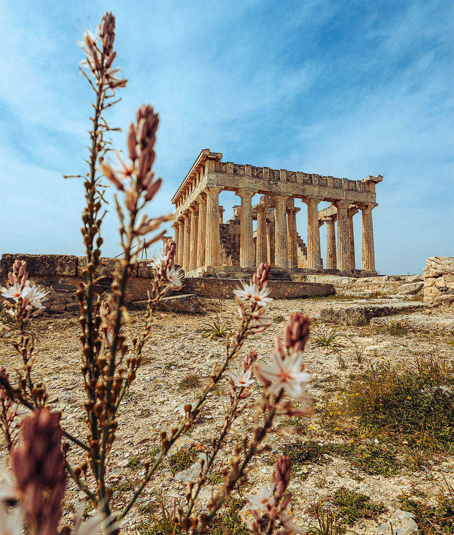Αίγινα: Ποδηλατάδες και πικ νικ στον ελαιώνα-3