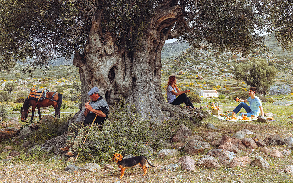 αίγινα-ποδηλατάδες-και-πικ-νικ-στον-ελ-561829942