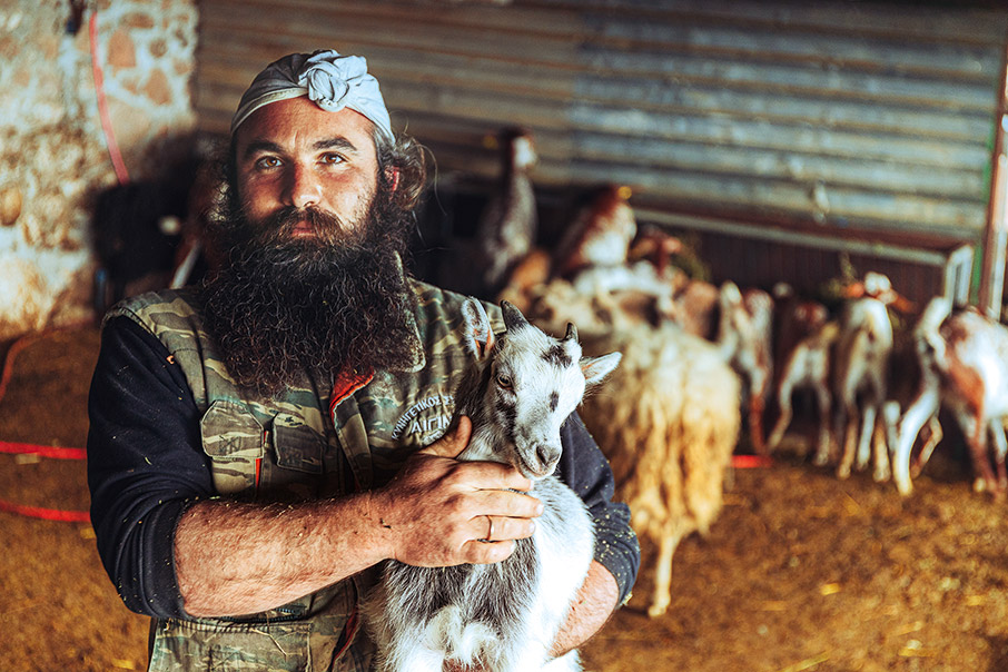 Αίγινα: Ποδηλατάδες και πικ νικ στον ελαιώνα-8