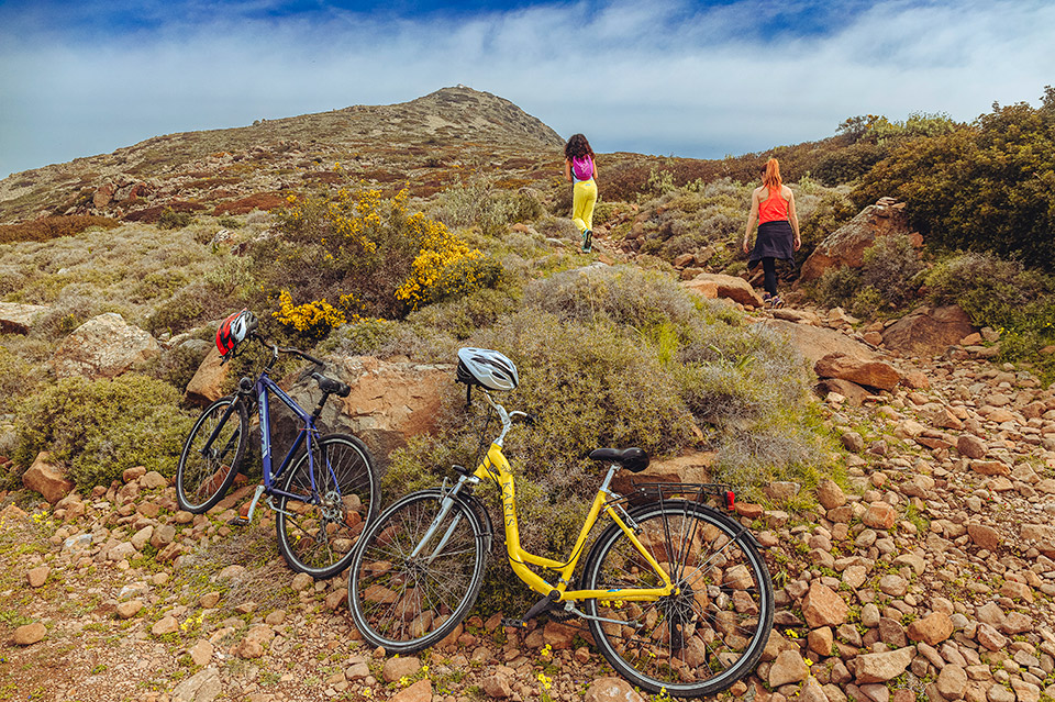 Αίγινα: Ποδηλατάδες και πικ νικ στον ελαιώνα-1