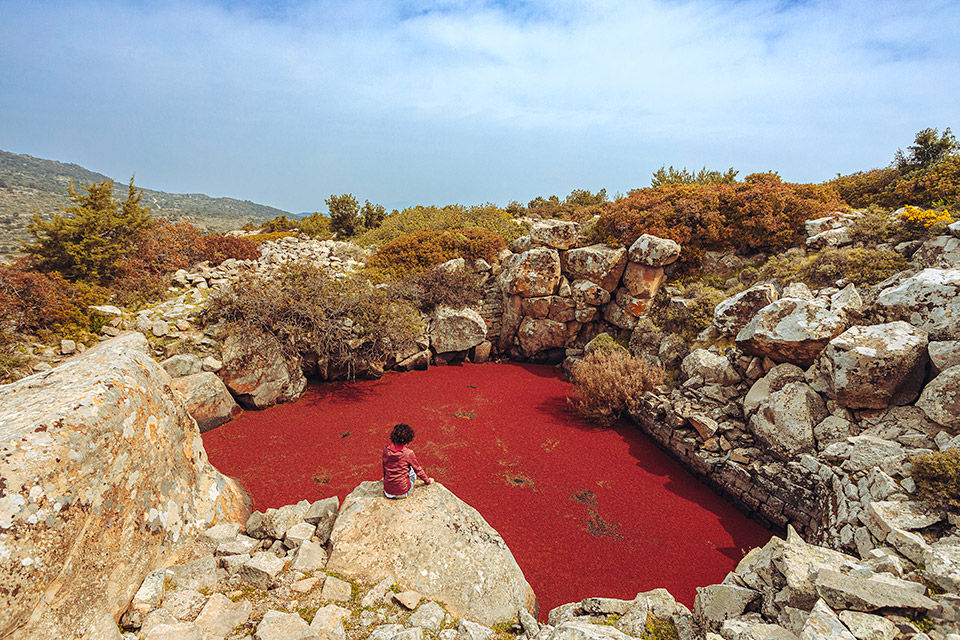 Αίγινα: Ποδηλατάδες και πικ νικ στον ελαιώνα-4