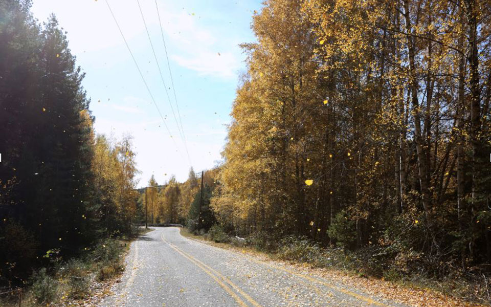 το-δημόσιο-αποσύρεται-οι-ιδιοκτήτε-561816268