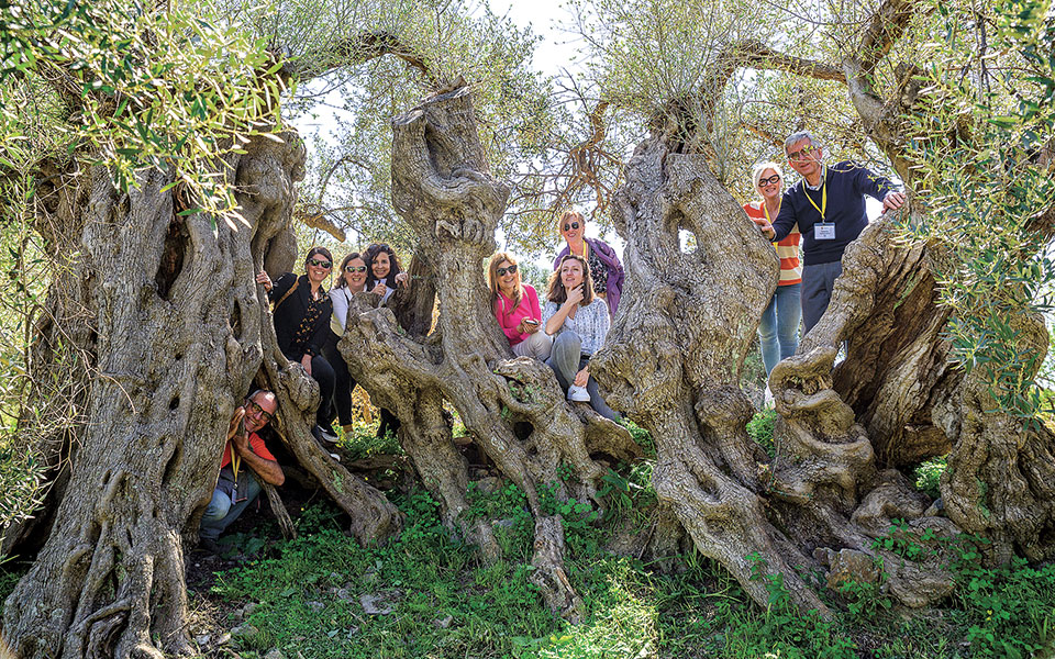 σκληρός-ανταγωνισμός-ελληνικού-ιτα-561815989