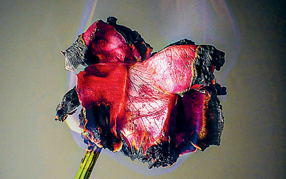 η-πολιτιστική-ατζέντα-της-μεγάλης-τρί-561819175