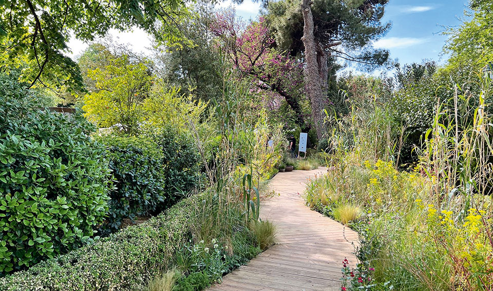 Η παλαιότερη ανθοκομική έκθεση άνοιξε πάλι τις πόρτες της στο Αλσος Κηφισιάς-3
