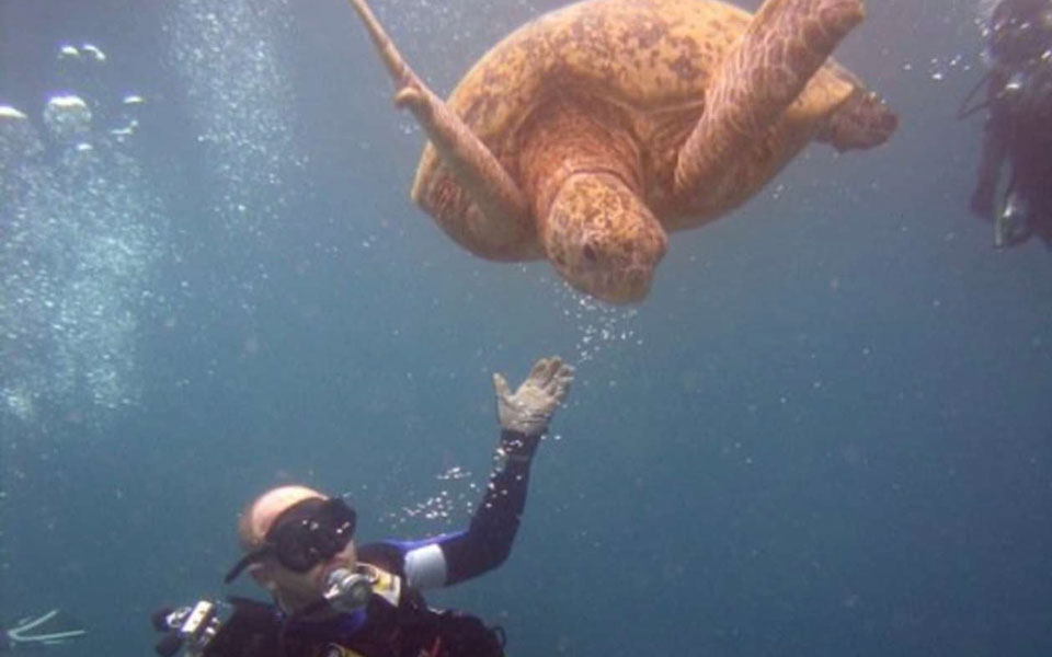 ουκρανός-υπουργός-άμυνας-το-moskva-θα-αποτε-561813166