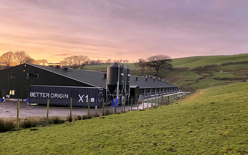 μια-startup-προτείνει-λύση-για-τις-εφοδιαστι-561802489