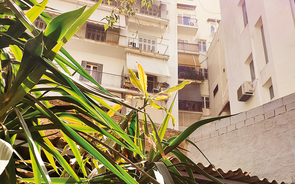 δρομολόγια-πρώτη-φορά-θετικός-561807133