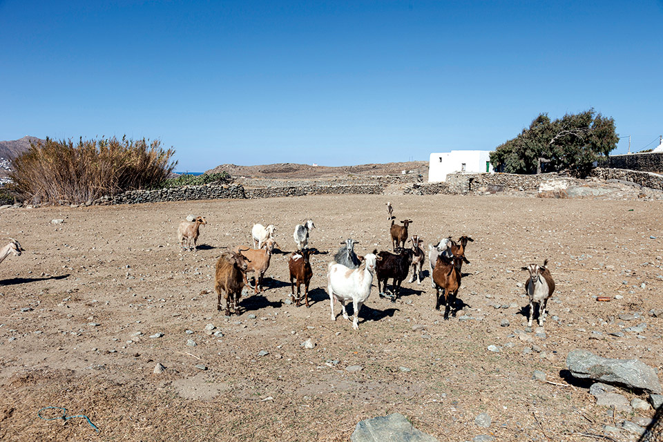 Η Μύκονος του φωτογράφου Γιώργου Κορδάκη-5