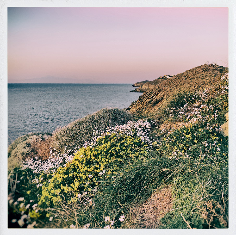 Η άνοιξη στην Τζια κατέφθασε, μαζί της και η εφηβεία-1