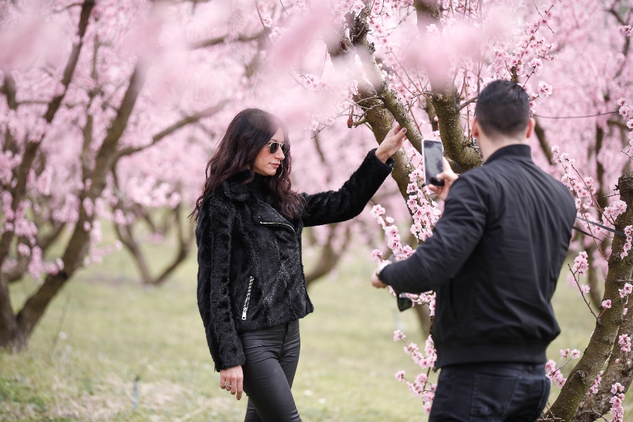 ζούμε-μια-εποχή-ανόδου-των-πλατωνικών-561795163