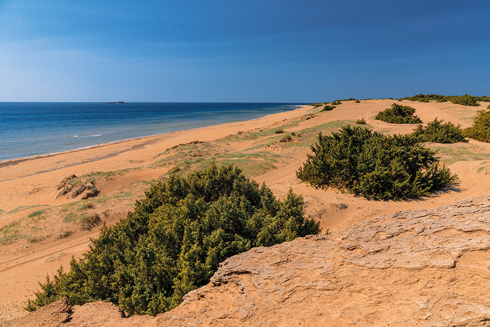 Κέρκυρα: Ένα οδοιπορικό στη φύση, την πόλη και την πληθωρική γαστρονομία-4