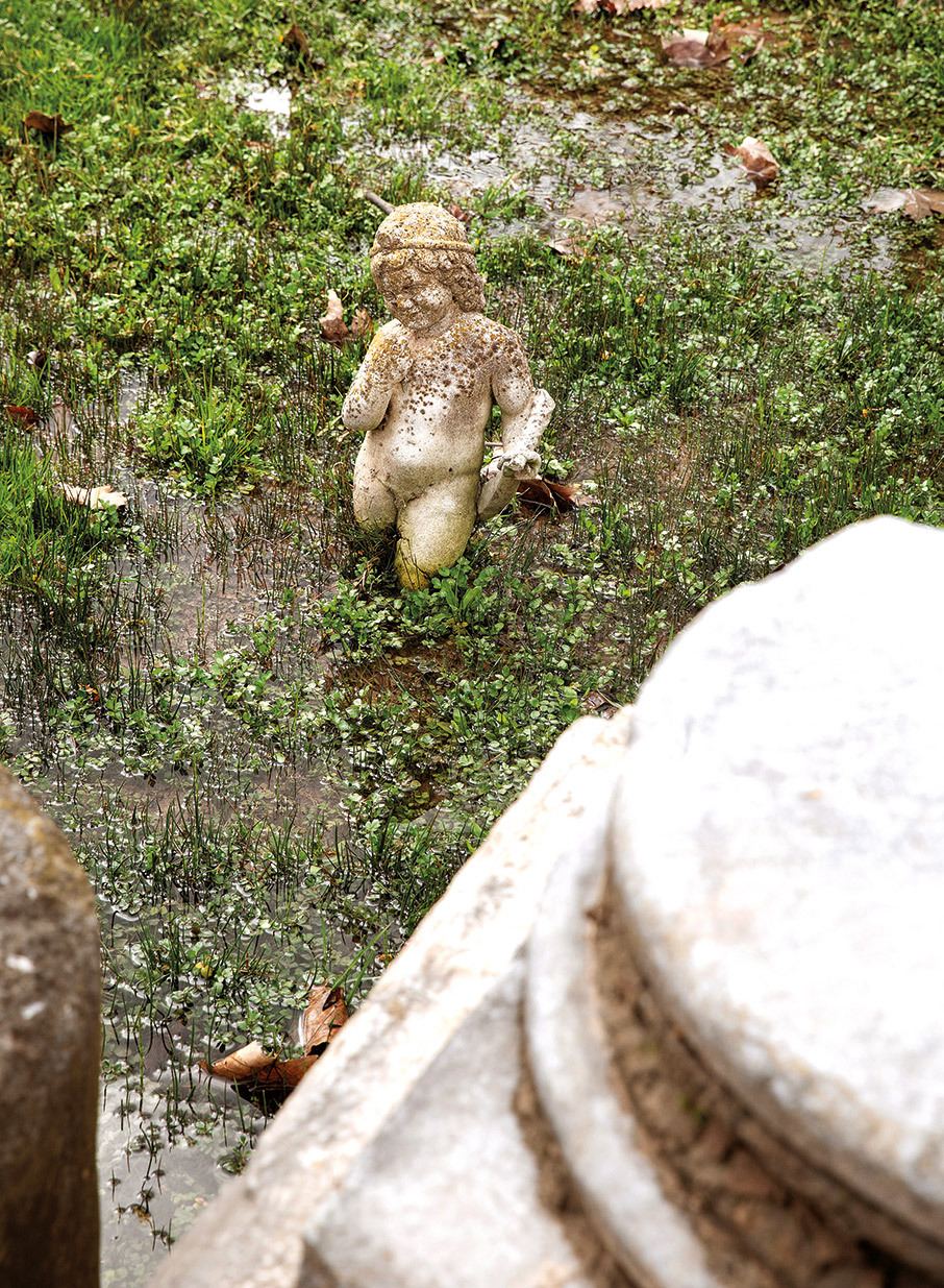 Δίον: Η έκπληξη του βορρά-3