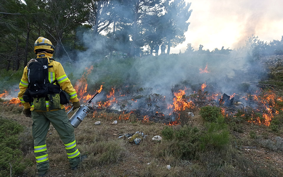 η-δοκιμή-της-προδιαγεγραμμένης-καύση-561809392