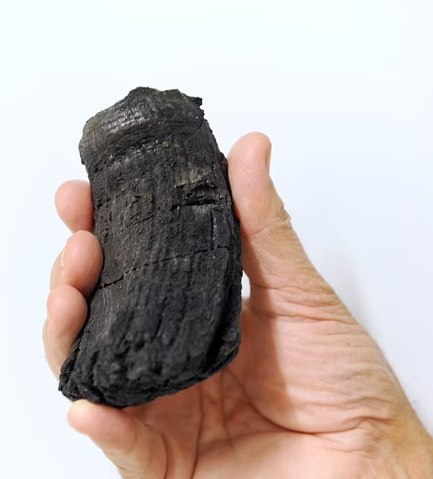 Απολιθώματα γιγαντιαίων θαλάσσιων ερπετών στις Άλπεις-1