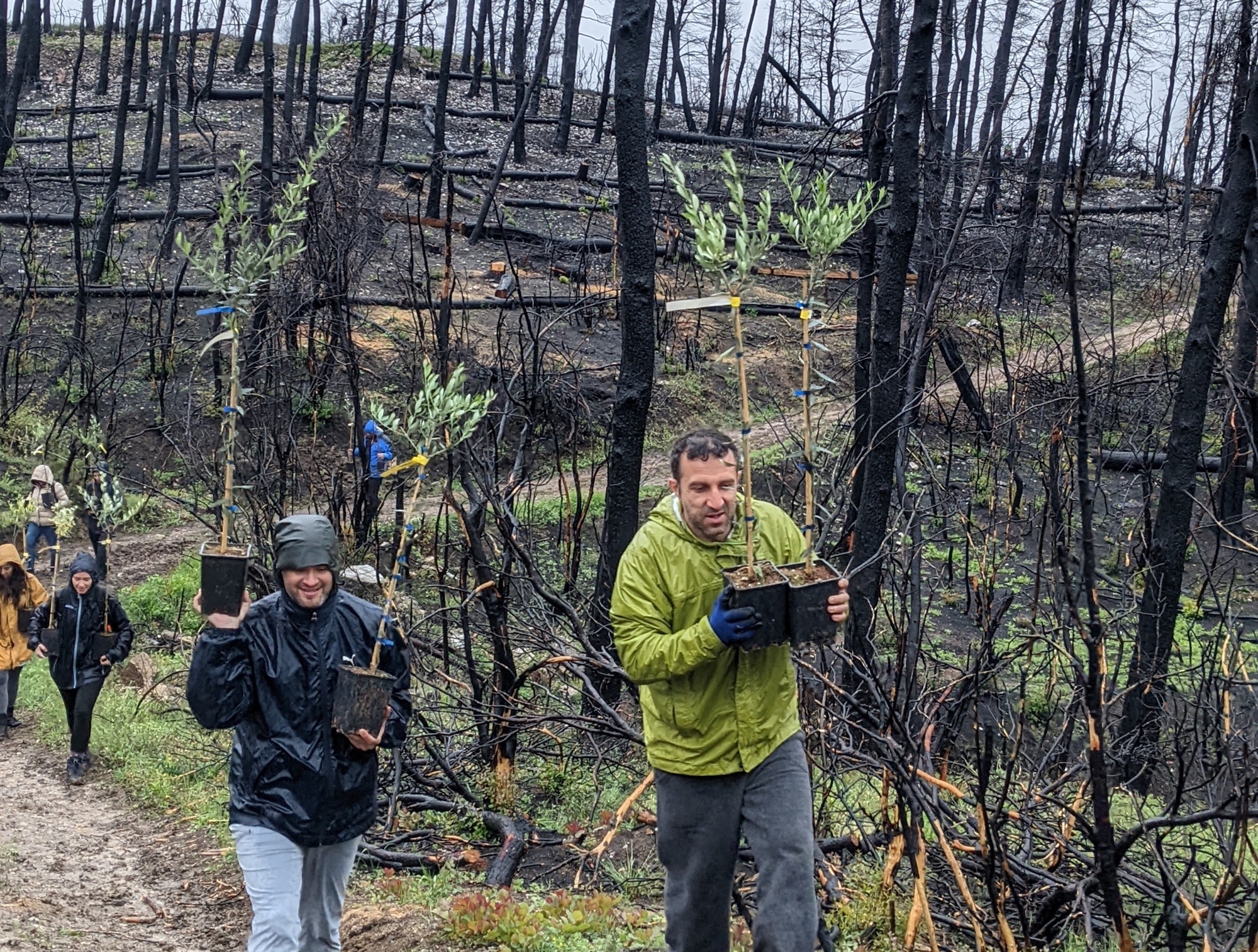 οι-εθελοντές-που-έρχονται-είναι-δυνα-561822043