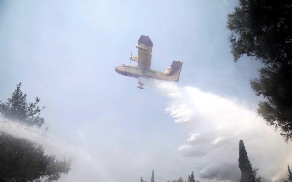 φωτιά-σε-δασική-έκταση-στη-χαλκιδική-561804430