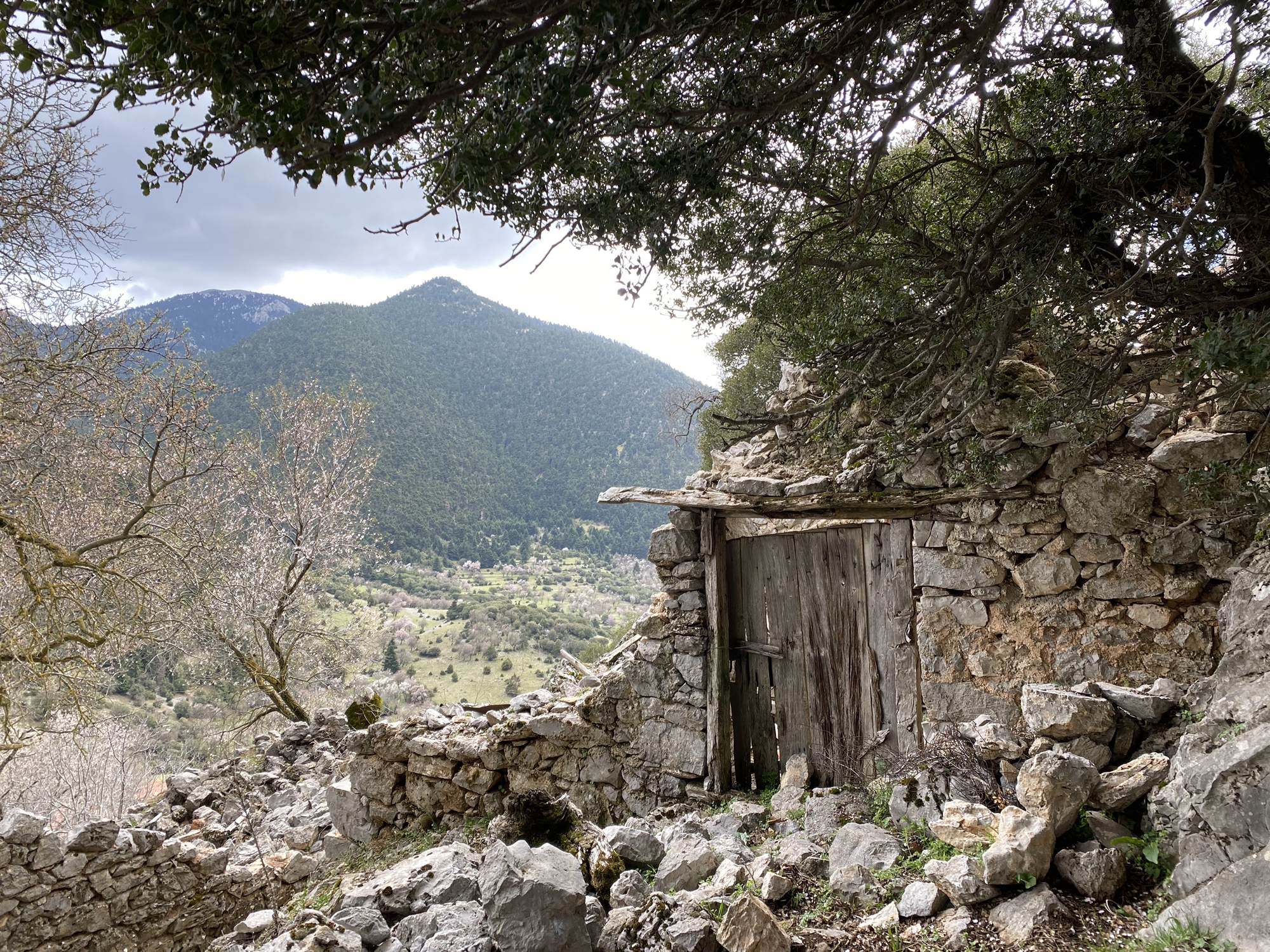 Περνώντας το κατώφλι στο μονοθέσιο σχολείο του παππού μου στην Γκιώνα-1
