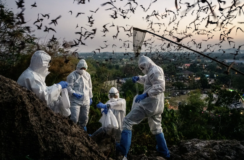 κορωνοϊός-η-κλιματική-αλλαγή-στρώνε-561832066