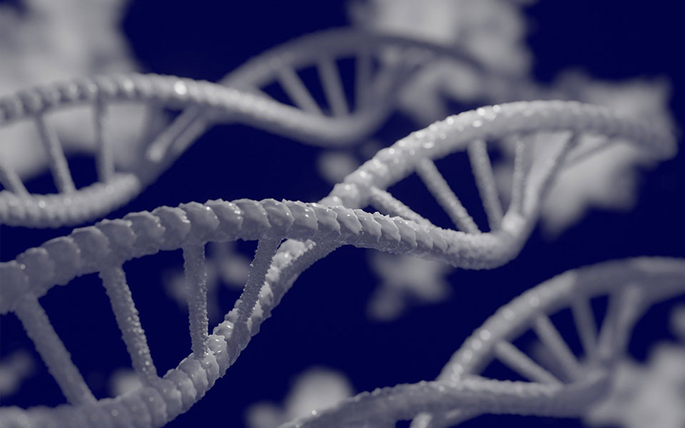 βρετανία-επιστήμονες-αντέστρεψαν-τη-561800338