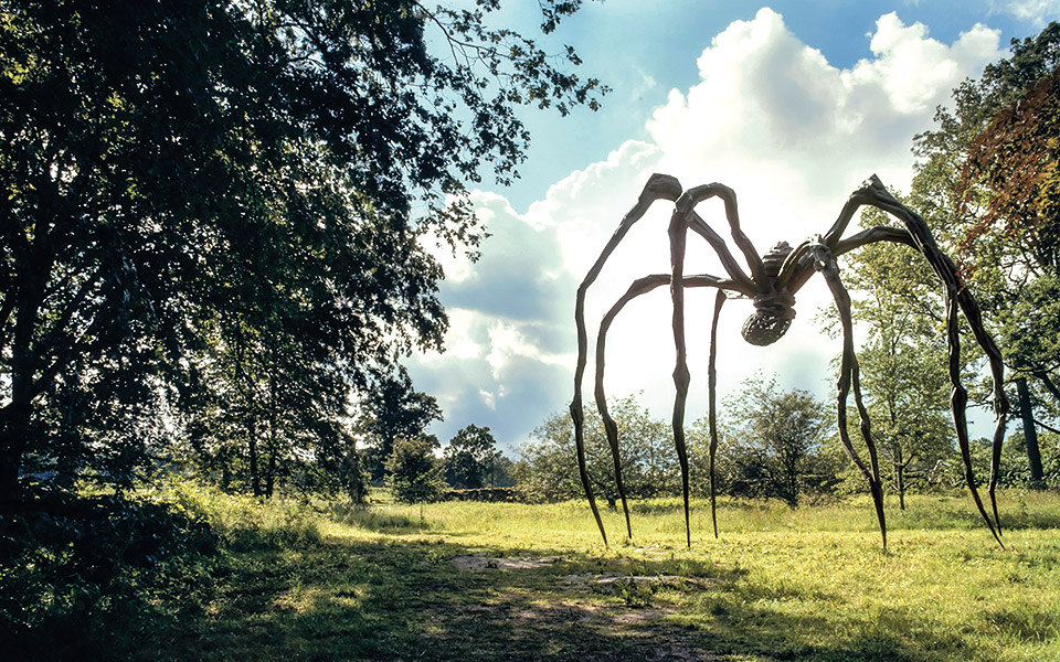 maman-κοίτα-μια-αράχνη-561792607