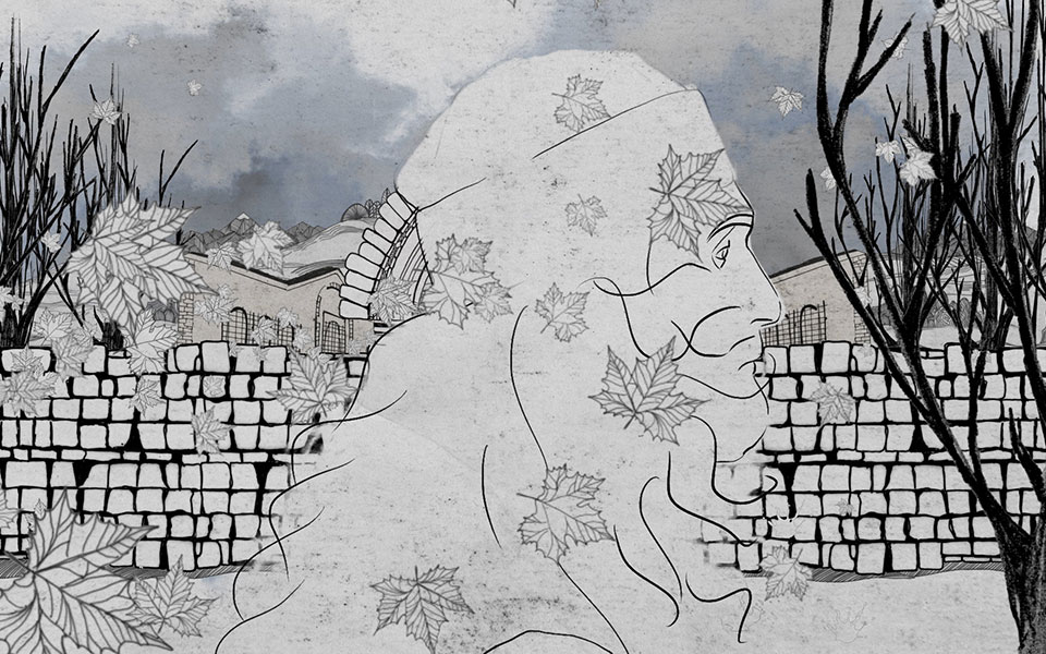 Διεθνές Φεστιβάλ Ντοκιμαντέρ Πελοποννήσου: Επιστροφή με 70 φιλμ στις αίθουσες και online-2