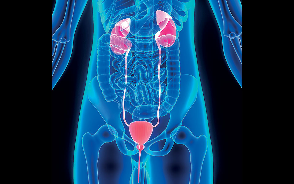 πόνος-ή-αίσθηση-καύσου-στην-ουροδόχο-κ-561794968