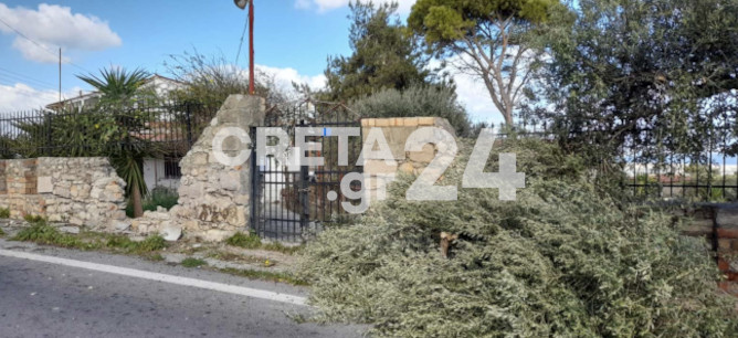 Κρήτη: Γκρέμισε τοιχίο με το αυτοκίνητο, έσπασε μια ελιά και ανετράπη (εικόνες)-1