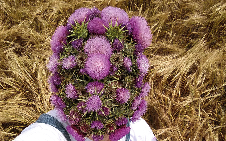 arcadia-ego-μια-έκθεση-με-ημερομηνία-λήξης-561884443