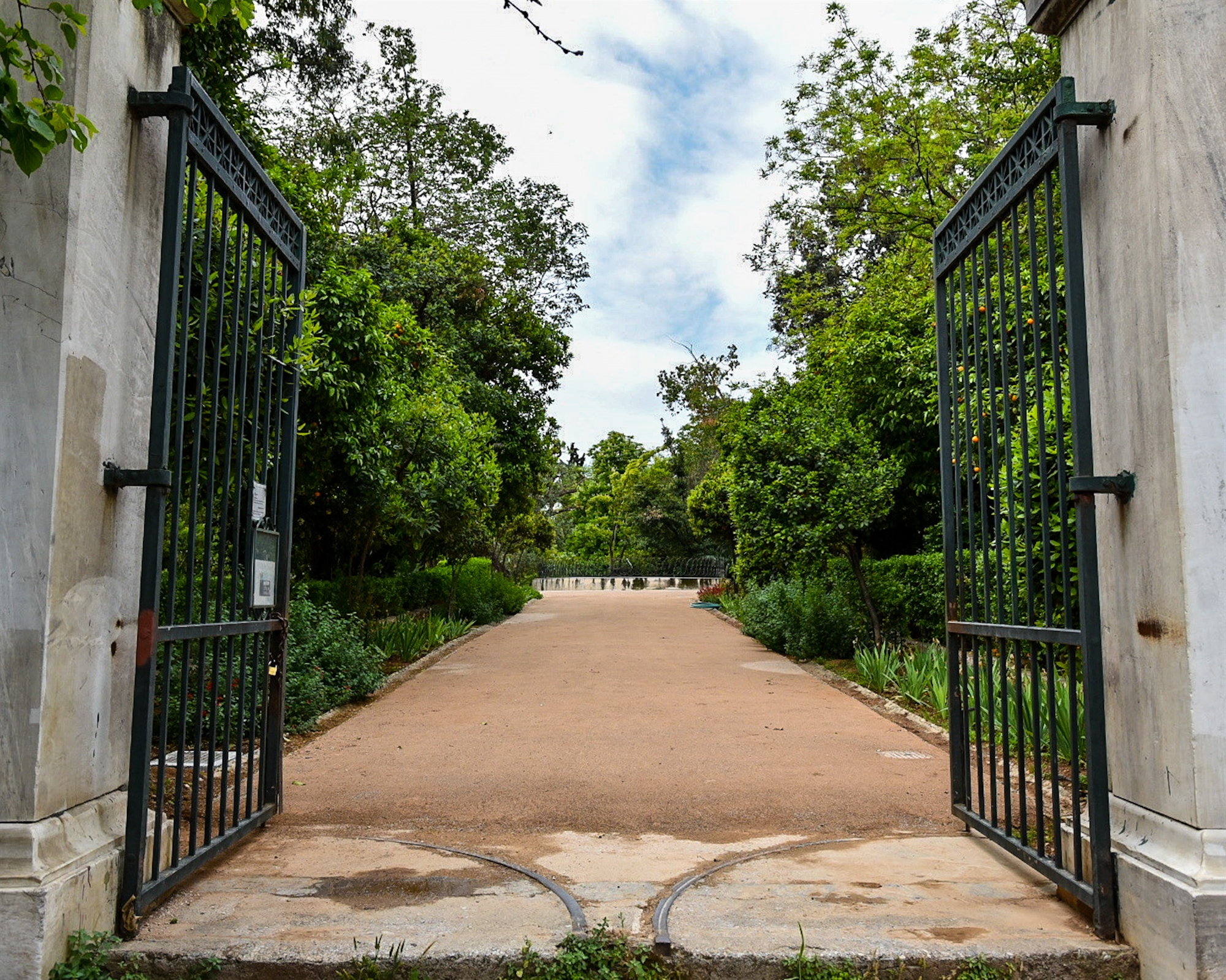 Εθνικός Κήπος: Νέα δέντρα και υποδομές-1