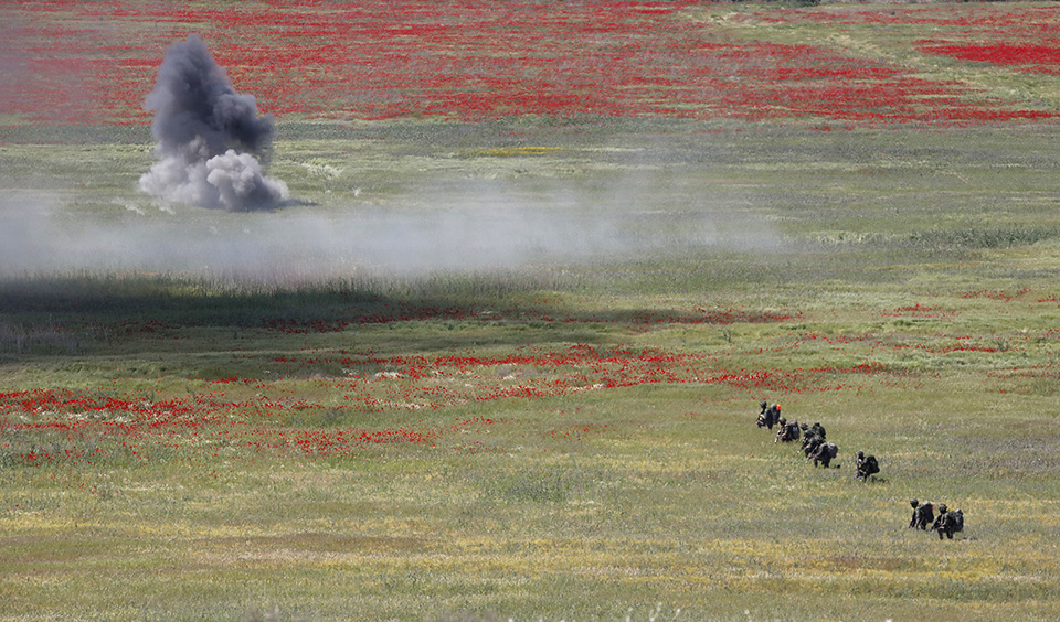 παπαρούνες-και-στρατιώτες-561855886