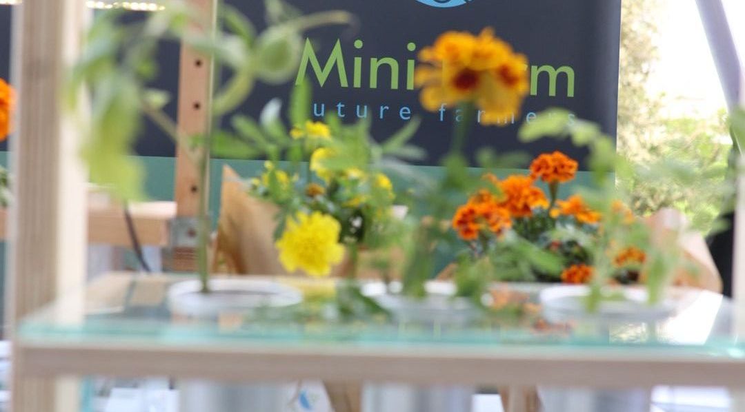 Ιδέες που «λύνουν χέρια» από έφηβους επιχειρηματίες-2