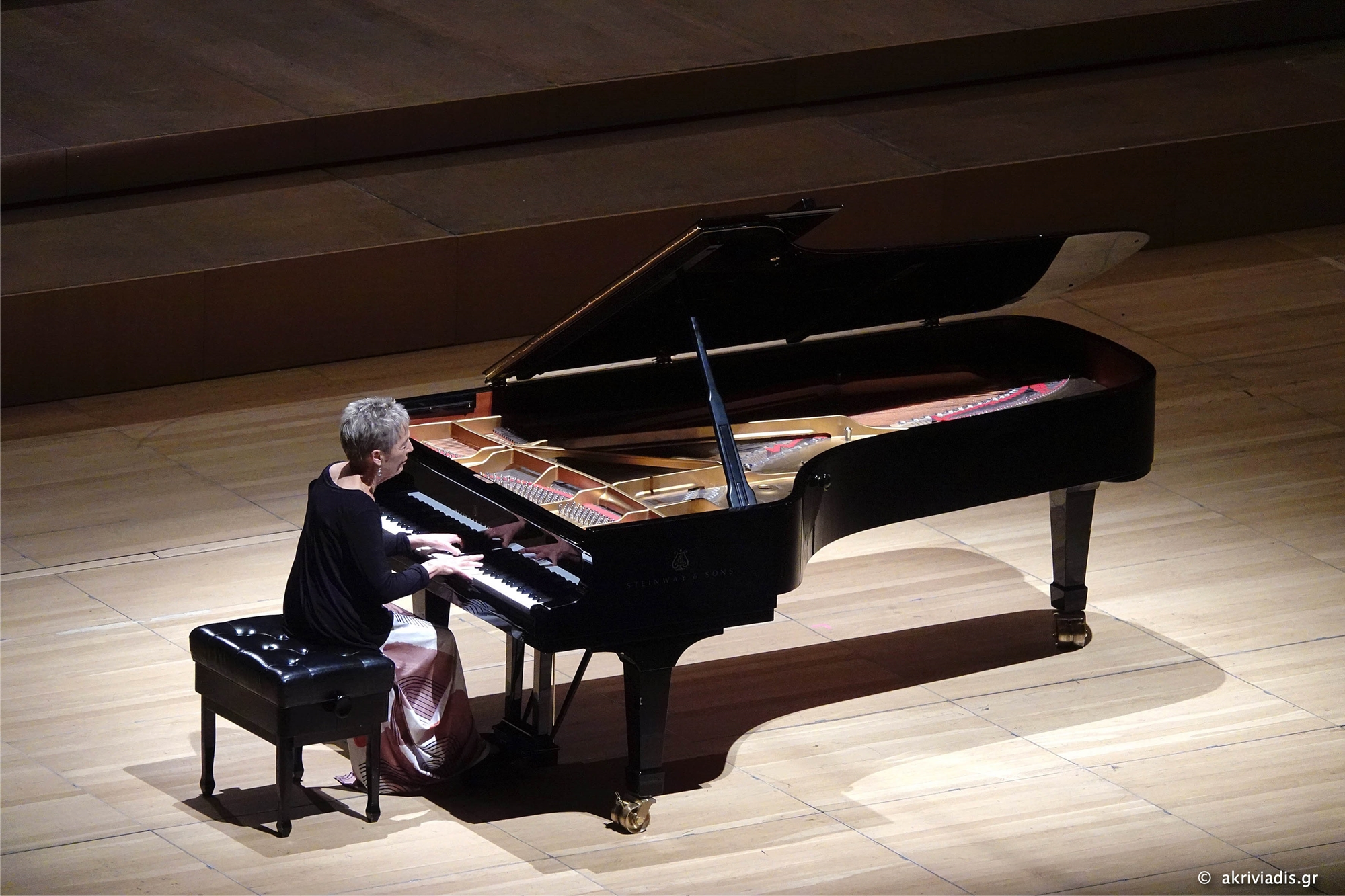 ποιητική-μαρία-ζουάου-πίρες-στο-μέγαρ-561846679