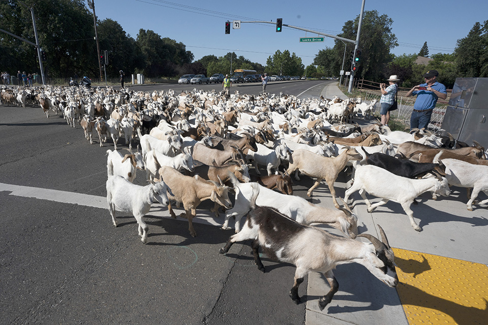 Πυροπροστασία