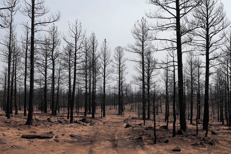πυρκαγιές-στις-ηπα-απειλή-για-έναν-στο-561864193