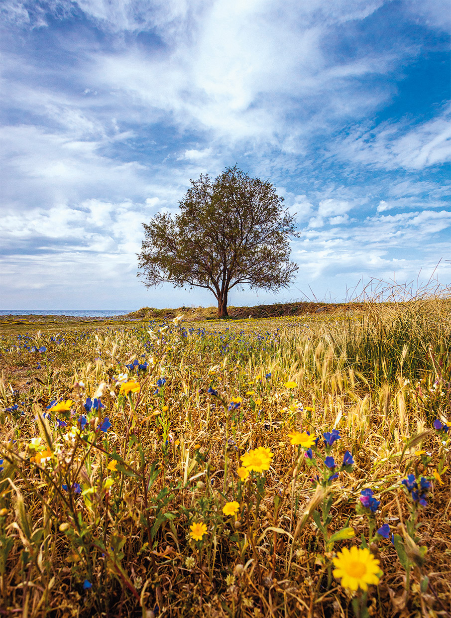 Xίος: 10+1 καλοκαιρινές εμπειρίες-11