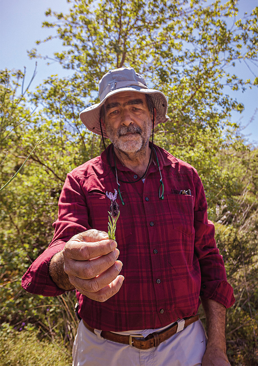 Xίος: 10+1 καλοκαιρινές εμπειρίες-6
