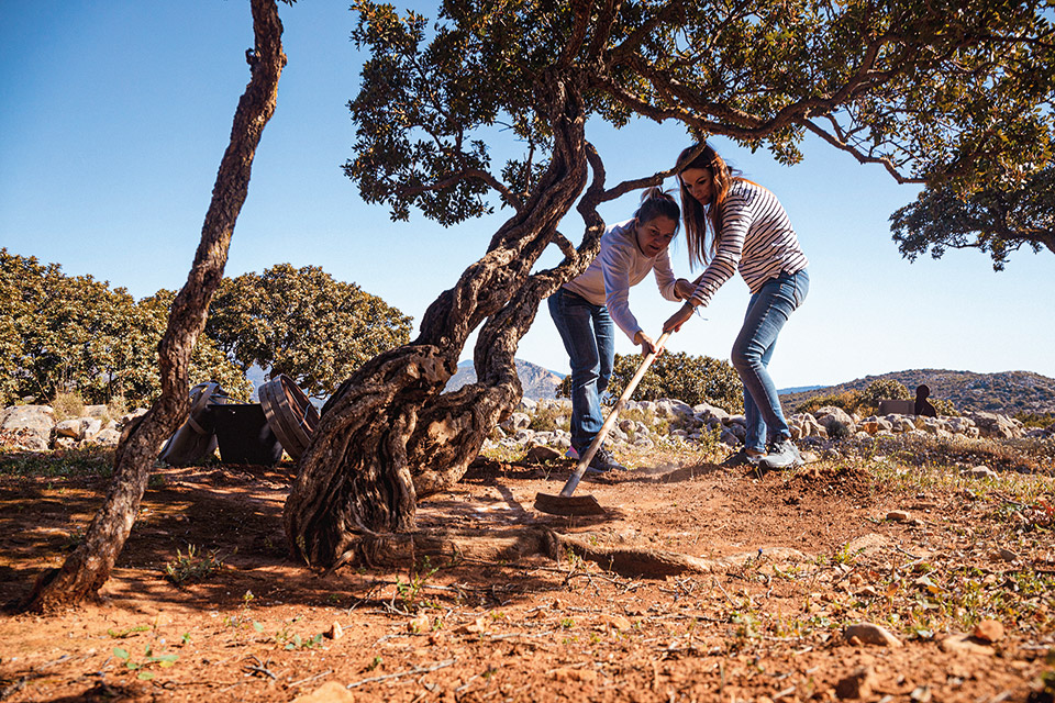 Xίος: 10+1 καλοκαιρινές εμπειρίες-9